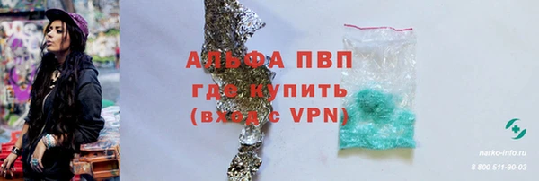 крисы Белокуриха