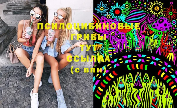 крисы Белокуриха